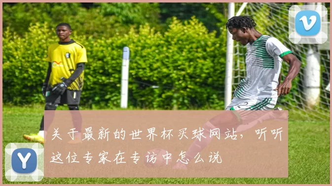 关于最新的世界杯买球网站，听听这位专家在专访中怎么说