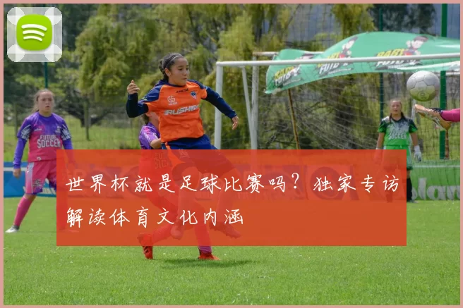 世界杯就是足球比赛吗？独家专访解读体育文化内涵