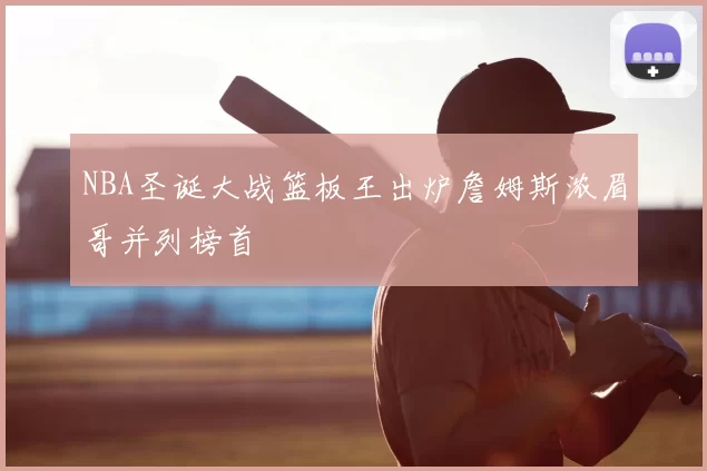 NBA圣诞大战篮板王出炉詹姆斯浓眉哥并列榜首