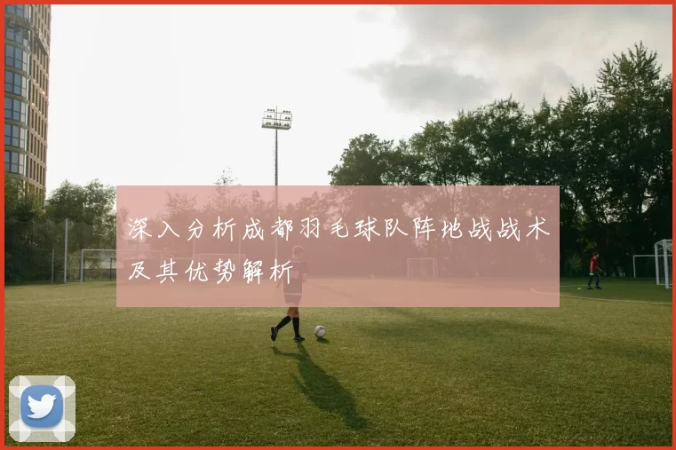 深入分析成都羽毛球队阵地战战术及其优势解析