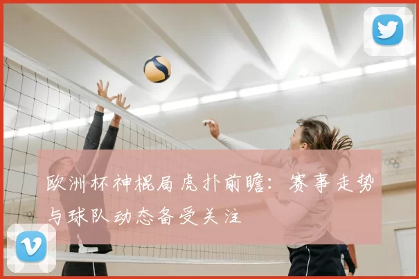 欧洲杯神棍局虎扑前瞻：赛事走势与球队动态备受关注