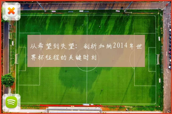 从希望到失望：剖析加纳2014年世界杯征程的关键时刻