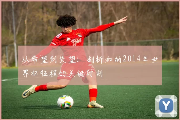 从希望到失望：剖析加纳2014年世界杯征程的关键时刻