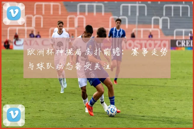 欧洲杯神棍局虎扑前瞻：赛事走势与球队动态备受关注
