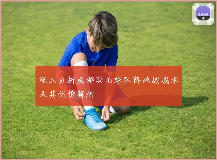 深入分析成都羽毛球队阵地战战术及其优势解析